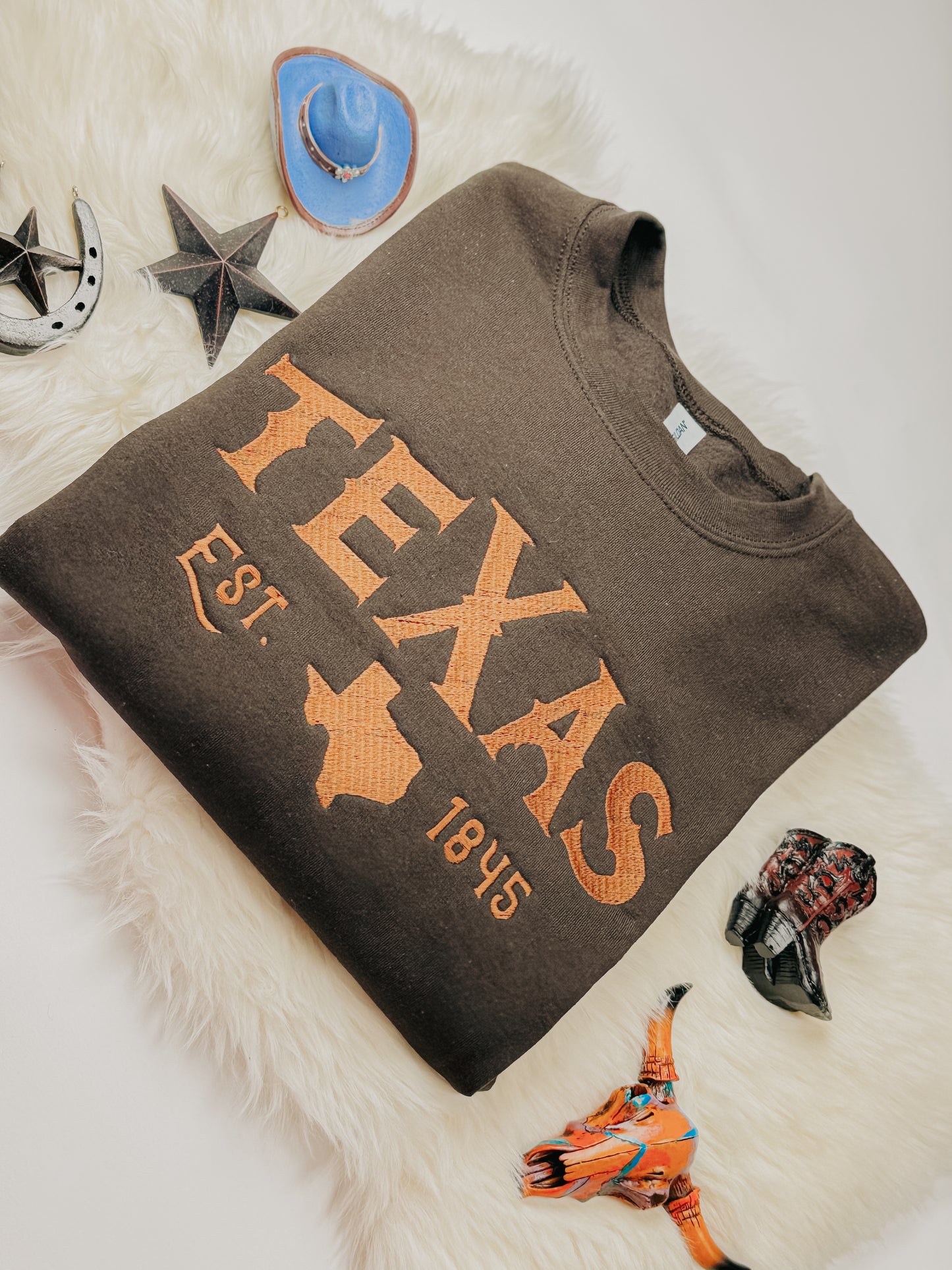 TEXAS EST. 1845 Embroidered Sweatshirt