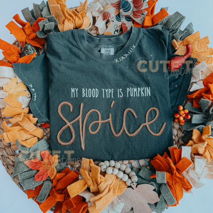 My blood type is pumpkin SPICE -  Adult Embroidered Long Sleeve Tee or Sweater